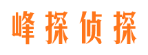 蒙山调查事务所